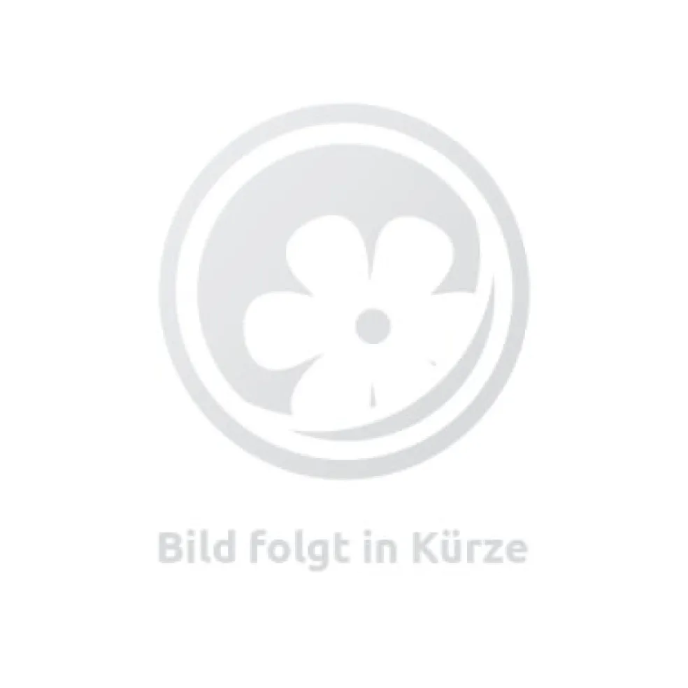 Dot Eau De Parfum 100 ml (woman)