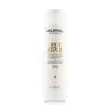 Dualsenses Rich Repair Restoring Shampoo 250 ml