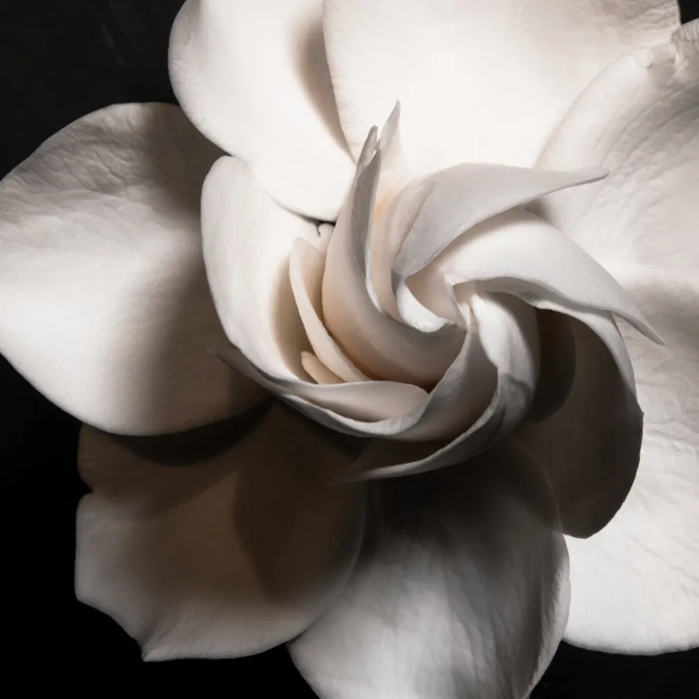 En Garde! Eau De Parfum 100 ml (man)