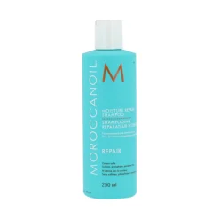 Repair Moisture Shampoo 250 ml