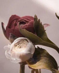 Soir d'Or Eau De Parfum 100 ml (woman)