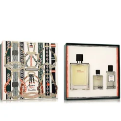 Terre D'Hermès EDT 100 ml + EDT 12,5 ml + AS 40 ml (man)