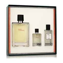 Terre D'Hermès EDT 100 ml + EDT 12,5 ml + AS 40 ml (man)
