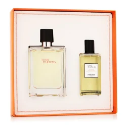 Terre D'Hermès EDT 100 ml + SG 80 ml (man)